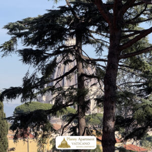 Planny Apartment Vaticano - QUADRATO - 09